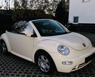 VW Volkswagen Beetle Gebrauchtwagen