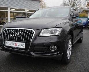 Audi Audi Q5 2.0 TDI quattro Gebrauchtwagen