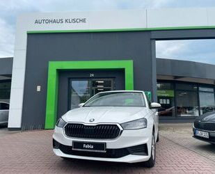 Skoda Skoda FABIA Active 1,0 MPI 48 kW 65 PS Gebrauchtwagen