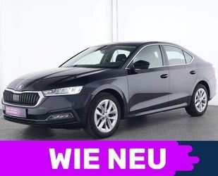 Skoda Skoda Octavia First Edition Navi|LED|SHZ|Kamera|PD Gebrauchtwagen