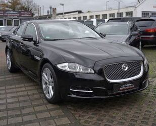 Jaguar Jaguar XJ 3.0d *SWB Premium Luxury*64TKM* Gebrauchtwagen