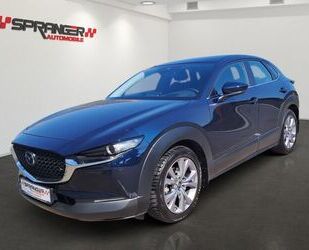 Mazda Mazda CX-30 MHybrid Navi*Head-Up*DAB*Navi*ACC*SHZ* Gebrauchtwagen