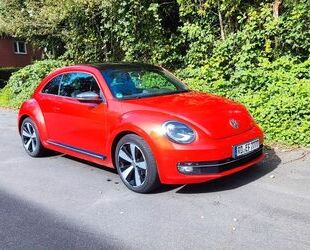 VW Volkswagen Beetle 2.0 TDI DSG BMT Exclusive Sport Gebrauchtwagen