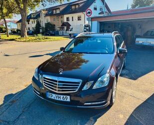 Mercedes-Benz Mercedes-Benz E 220 CDI T BlueEFFICIENCY TOP Zusta Gebrauchtwagen