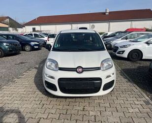 Fiat Fiat New Panda 1.2 8V LOUNGE Gebrauchtwagen