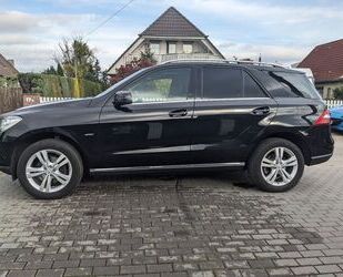 Mercedes-Benz Mercedes-Benz ML 250 BlueTEC Schiebedach Totwinkel Gebrauchtwagen