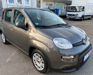 Fiat Fiat Panda Base 1.0 Mild-KLIMA-1.HAND-EURO 6 Gebrauchtwagen