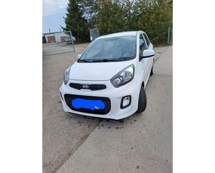 Kia Kia Picanto 1.0 Spirit Spirit Gebrauchtwagen