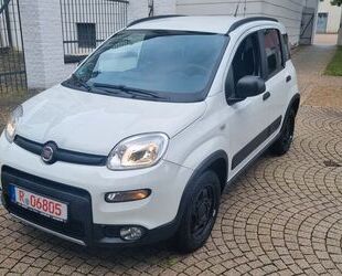 Fiat Fiat New Panda 1.3 16V Multijet CROSS 4X4 Start&St Gebrauchtwagen