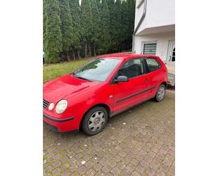 VW Volkswagen Polo 1.2 Basis Basis Gebrauchtwagen