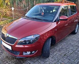 Skoda Skoda Fabia 1.2l TSI 63kW Active Active Gebrauchtwagen