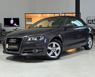 Audi Audi A3 1.8 TFSI Cabriolet Ambition*Leder,PDC,Klim Gebrauchtwagen