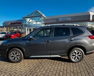 Subaru Subaru Forester 2.0ie Comfort Lineartronic Gebrauchtwagen