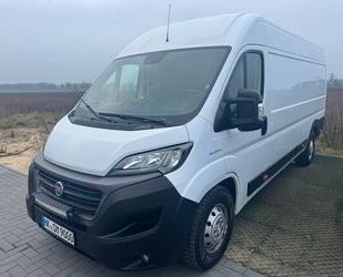 Fiat Fiat Ducato Maxi|35|L5H2|Serie 7|180MJT|TOP-Aust. Gebrauchtwagen