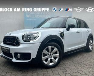 Mini MINI Cooper SE Countryman ALL4 RFK HUD Navi PA Gebrauchtwagen