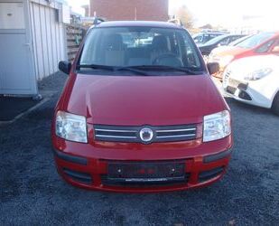 Fiat Panda Gebrauchtwagen