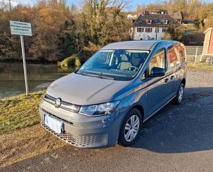 VW Volkswagen Caddy 1,5TSI 84kW DSG OPF Rollstuhlramp Gebrauchtwagen