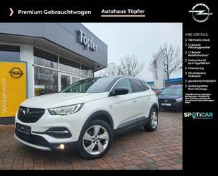 Opel Opel Grandland X Exklusiv 