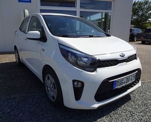 Kia Kia Picanto 1.0 Edition 7 Gebrauchtwagen