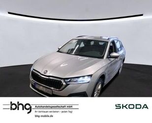 Skoda Skoda Octavia Combi 2.0 TDI Keyless PDC Sitzheizg Gebrauchtwagen