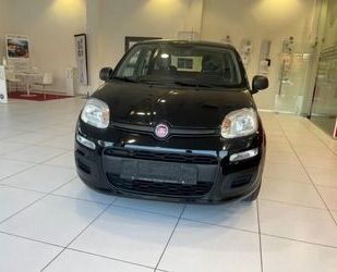 Fiat Fiat Panda Pop 1,2 8V Gebrauchtwagen