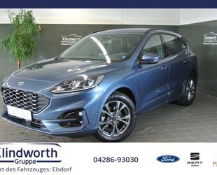 Ford Ford Kuga 1.5 E.Boost ST-Line +iACC+Navi+Totwinkel Gebrauchtwagen