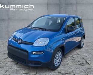 Fiat Fiat Panda Panda Hybrid 1.0 GSE (70PS) Gebrauchtwagen