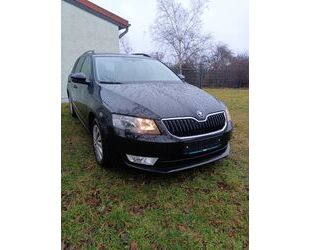 Skoda Skoda Octavia 1.4 TSI Green tec Active Combi Activ Gebrauchtwagen