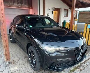 Alfa Romeo Alfa Romeo Stelvio 2.9 V6 Bi-T. 519 PS, Quad. Face Gebrauchtwagen