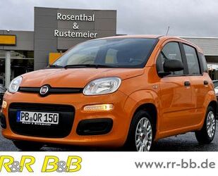 Fiat Fiat Panda Base 1.0 Mild Hybrid EU6d KLIMA+DAB+ Gebrauchtwagen