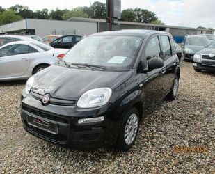 Fiat Fiat Panda Easy Gebrauchtwagen