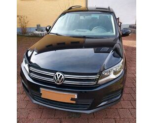 VW Tiguan Gebrauchtwagen