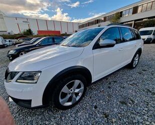 Skoda Skoda Octavia Combi Scout 4x4 2,0 TDI/Xen/Nav/Pano Gebrauchtwagen