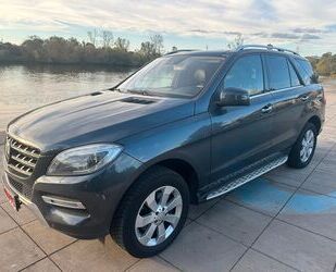 Mercedes-Benz Mercedes-Benz ML 350 ML -Klasse ML 350 CDI BlueTec Gebrauchtwagen