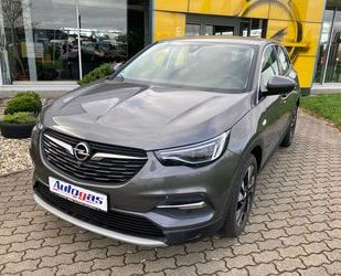 Opel Opel Grandland (X) mit Flüssiggasanlage von Prinz Gebrauchtwagen