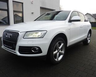 Audi Audi Q5 2.0 TDI S-Line quatt19