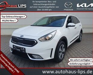 Kia Kia Niro 1.6 GDI 2WD Aut. Vision | Navi | Sitzhzg Gebrauchtwagen