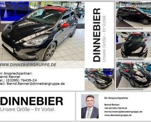 Ford Ford FIESTA ST-LINE Navi+Einparkhilfe+Winterpaket Gebrauchtwagen