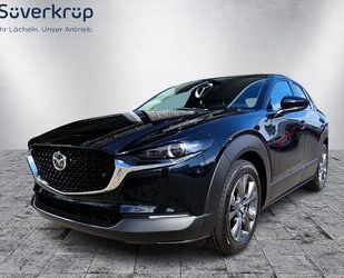 Mazda Mazda CX-30 2.0L e-SKYACTIV X 186ps 6AT FWD Exclus Gebrauchtwagen