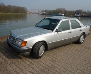 Mercedes-Benz Mercedes-Benz 260 H-Kennzeichen, Komplett konservi Gebrauchtwagen