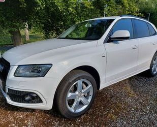 Audi Audi Q5 3.0 TDI quattro Gebrauchtwagen