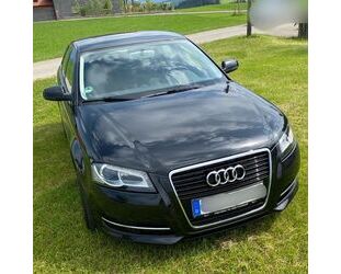 Audi Audi A3 1.2 TFSI Ambition Sportback Ambition Gebrauchtwagen