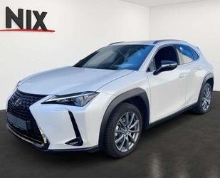 Lexus Lexus UX 250 h Style+ Edition KAMERA EPH Gebrauchtwagen