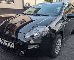 Fiat Fiat Punto 1.2 8V MORE Gebrauchtwagen