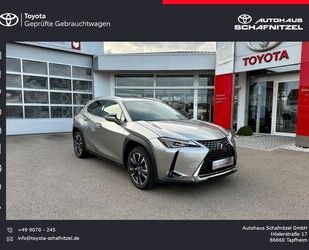 Lexus Lexus UX 250h Style Edition *LED*ACC*CarPlay* Gebrauchtwagen