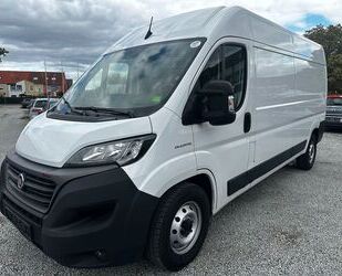 Fiat Fiat Ducato 160 L4H2 RS: 4035 mm Kamera/Automatik Gebrauchtwagen