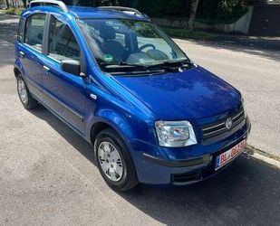 Fiat Fiat Panda 1.2 8V Dynamic Gebrauchtwagen