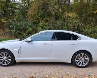 Jaguar Jaguar XF 2.2 L Diesel - Gebrauchtwagen