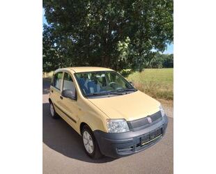 Fiat Fiat Panda 1.1 8V Active Gebrauchtwagen