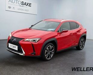 Lexus Lexus UX 250h Amazing Edition *LED*CarPlay*Kamera* Gebrauchtwagen